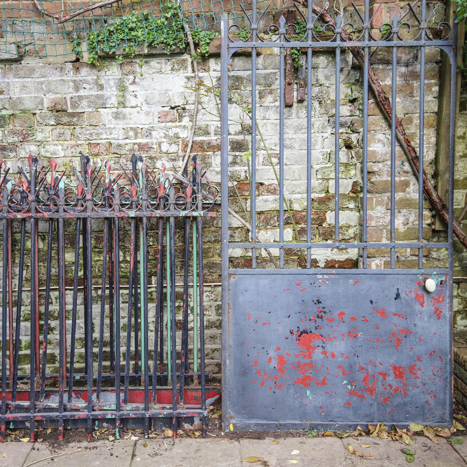 Antique French iron gate and railings