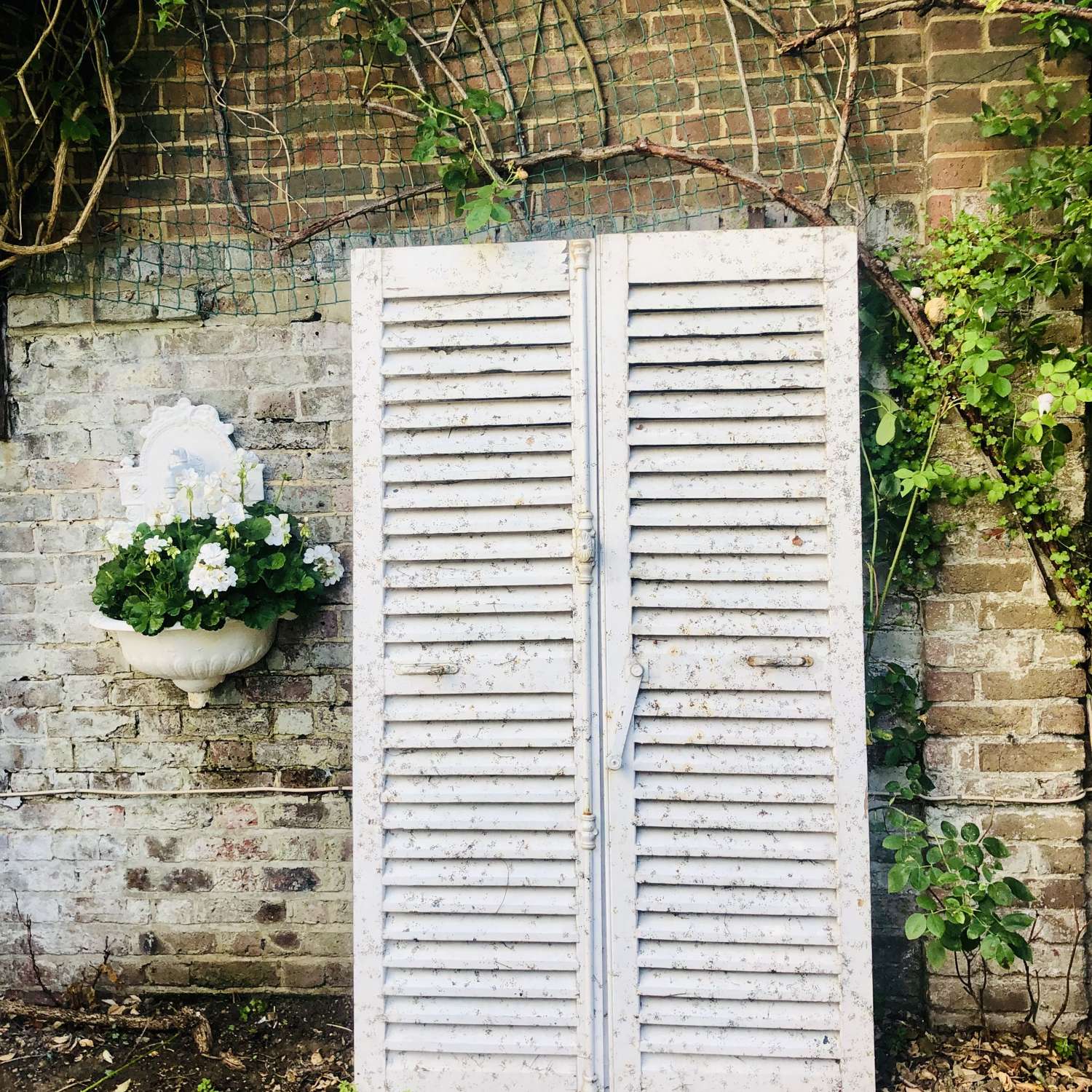 Antique French painted shutters