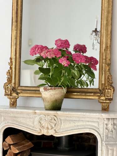 Large antique French gilt mirror c1800 - mercury glass