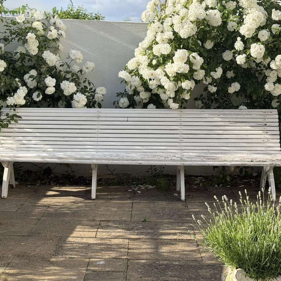 Vintage French garden bench