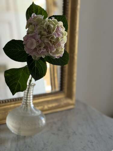 Antique French gilt Louis Philippe mirror c1860
